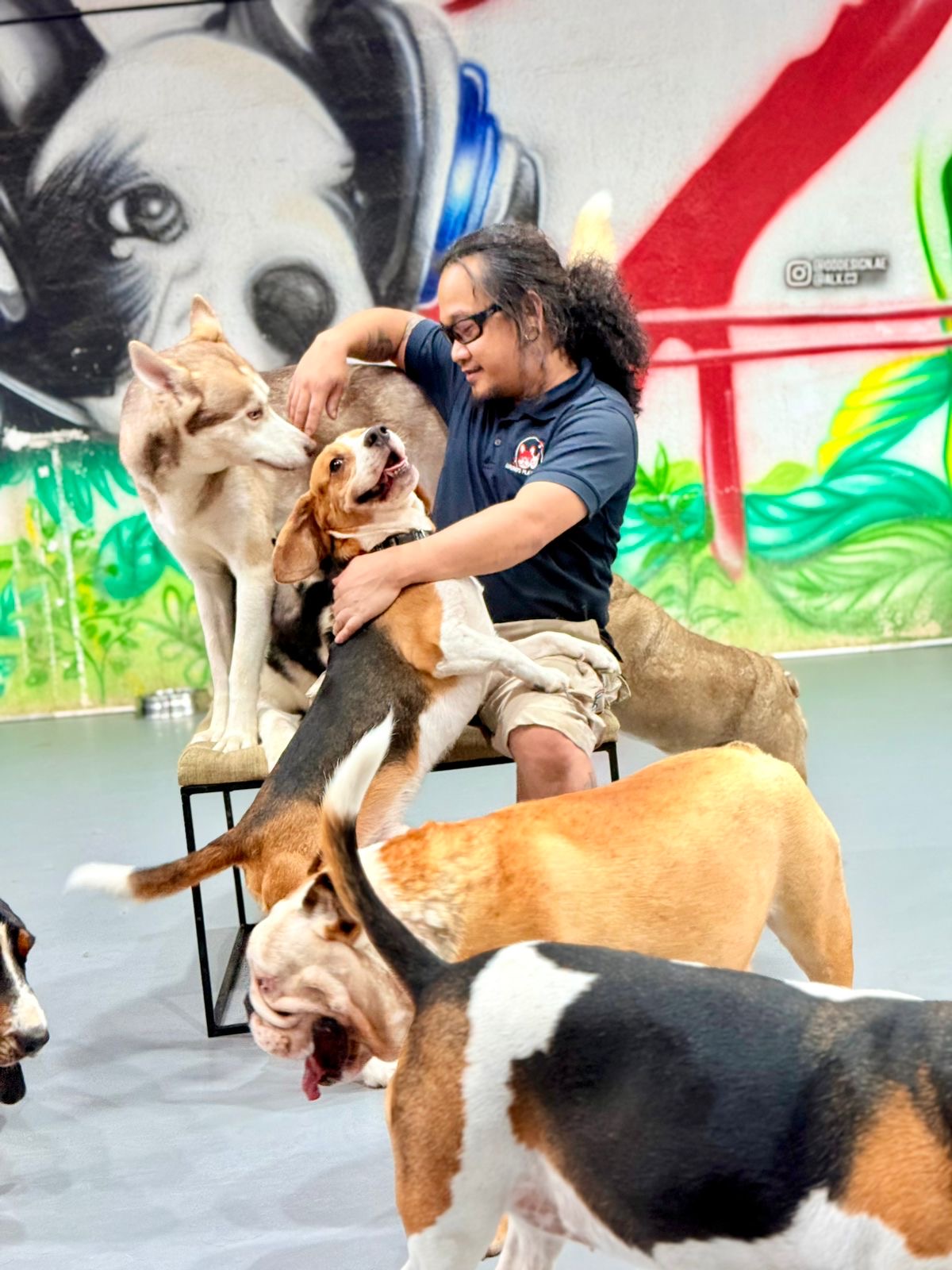 dog and staff enjoying a caring environment at Bruno's play center 