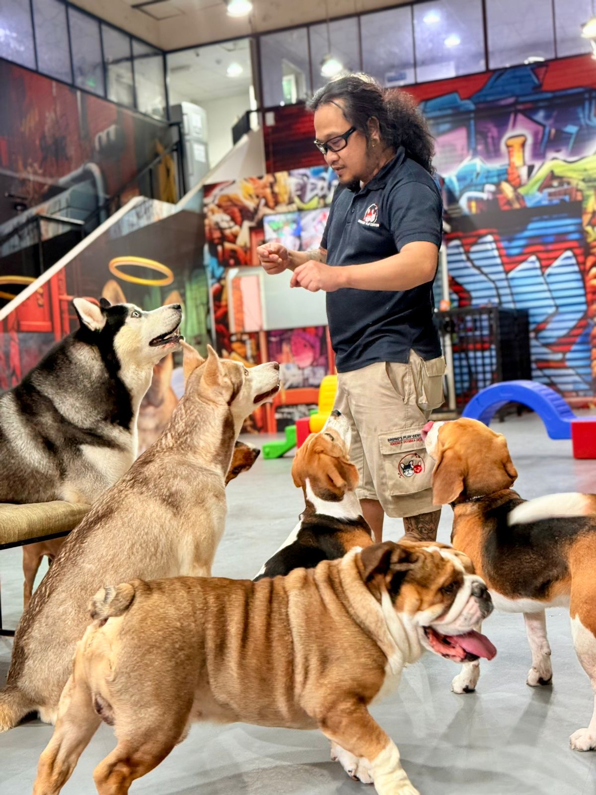 dogs enjoying their time at inclusive day care center