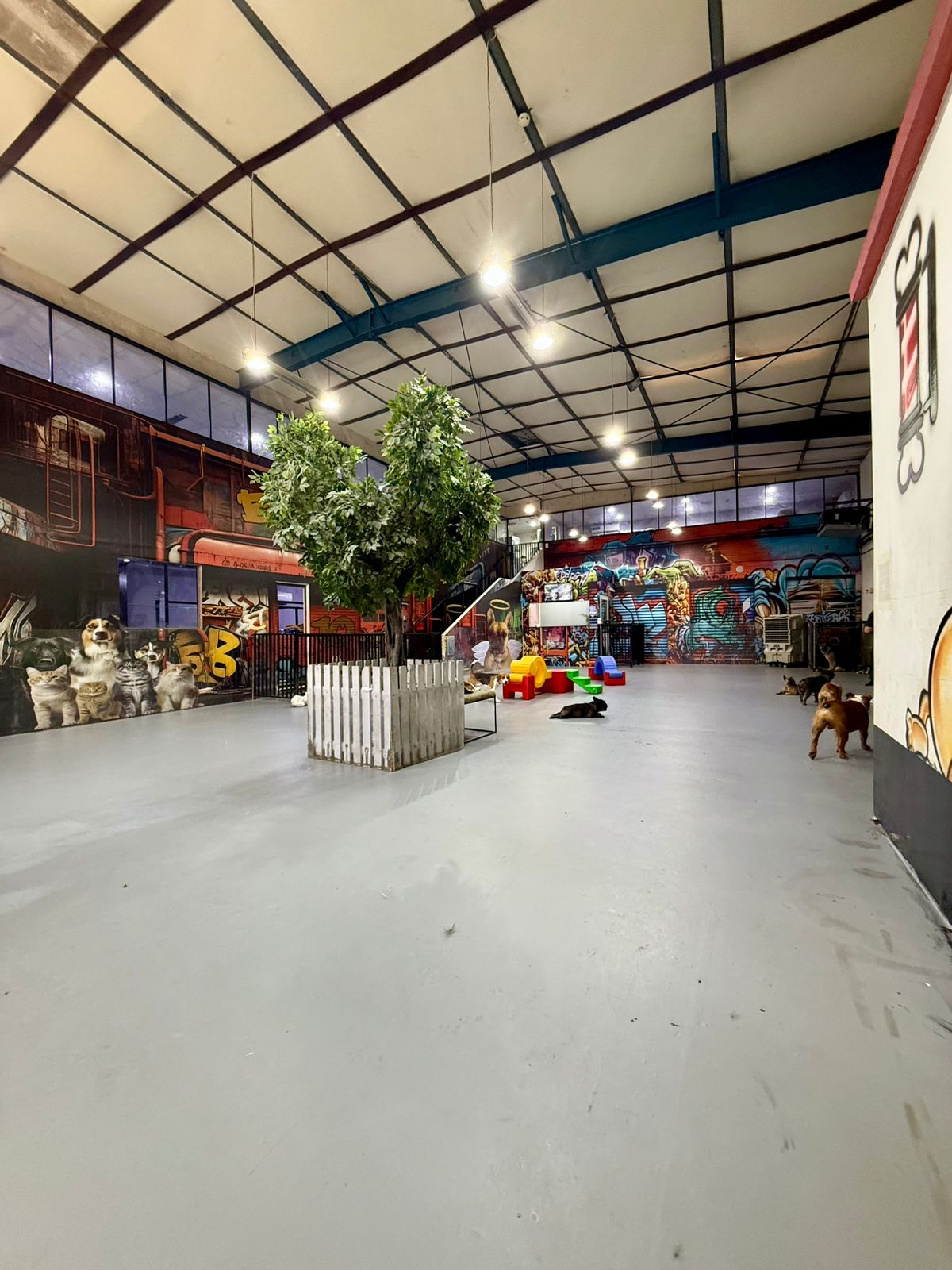 woman and boy petting a sleeping dog at dog boarding