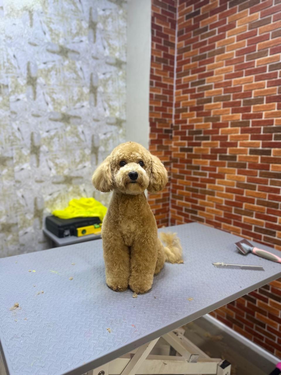 doing nail clipping with extra care